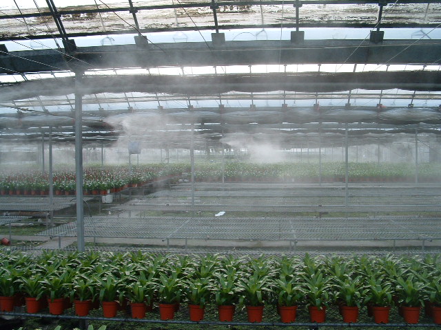 dscf0040.jpg